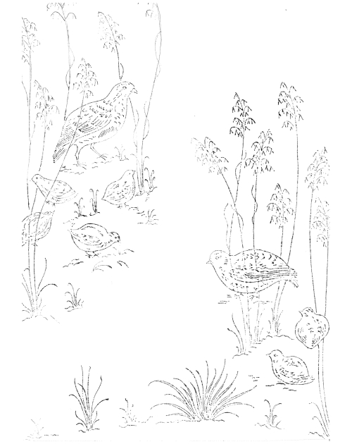Nappe à broder "Chasse "