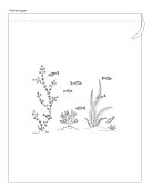 "Lagon" pattern pouch