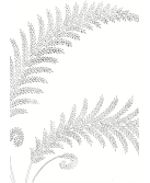 Nappe à broder "Fougères"