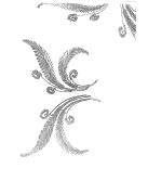 Nappe à broder "Petites fougères"