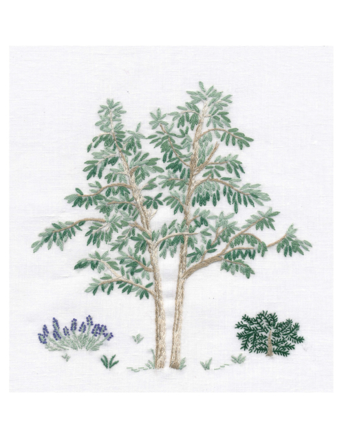 Taie de coussin à broder "Eucalyptus"