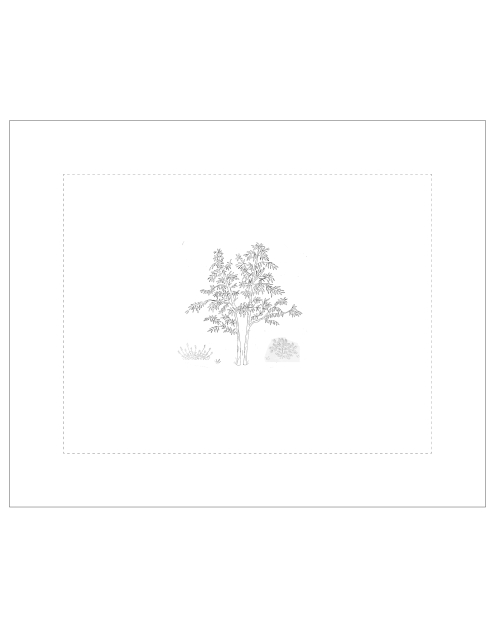 Taie de coussin à broder "Eucalyptus"